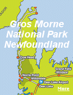 Gros Morne National Park is a world heritage site located on the west coast of Newfoundland.